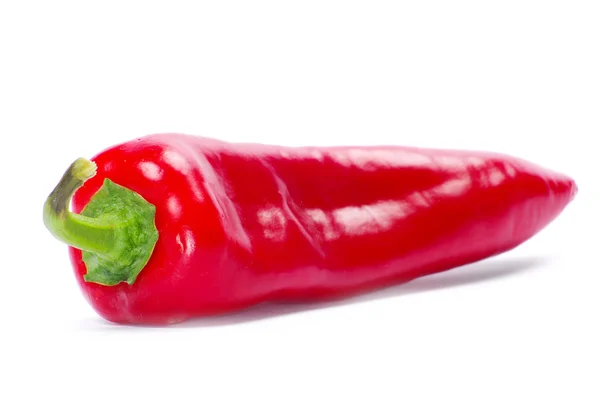 Färsk röd paprika — Stockfoto