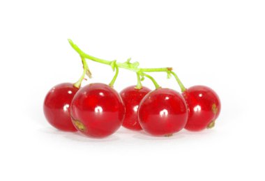 Olgun kırmızı kuş üzümü