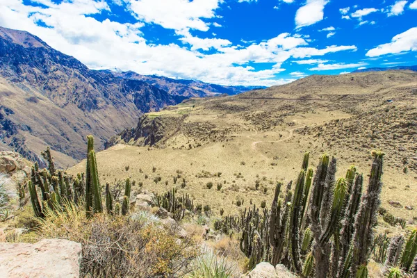 Bela paisagem em Andes — Fotografia de Stock