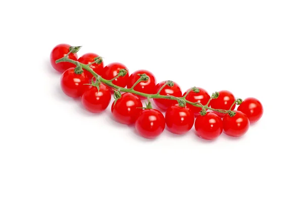 成熟的西红柿，绿色的叶子 — 图库照片