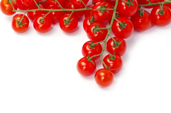 Ripe tomatoes with green leaves — Stock Photo, Image