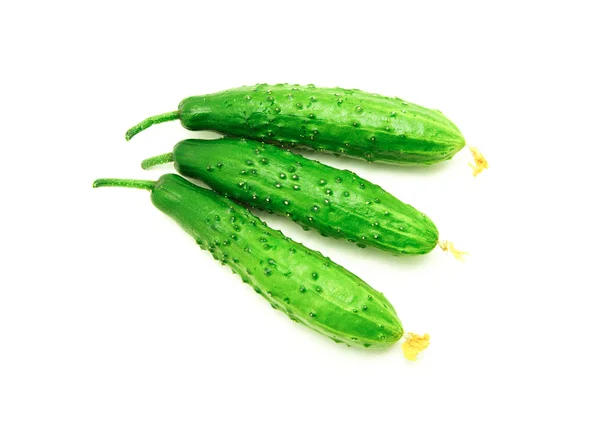 Fresh green cucumbers — Stock Photo, Image