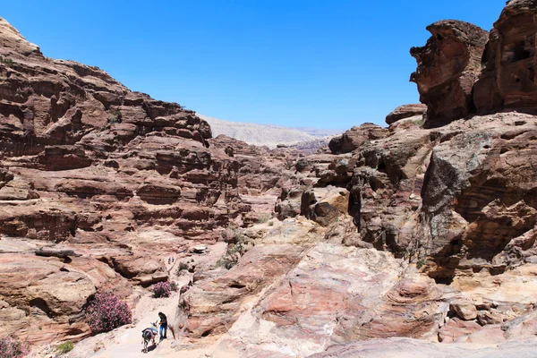 Jordanska öknen på Petra — Stockfoto