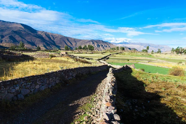 Hermoso paisaje en los Andes — Foto de Stock