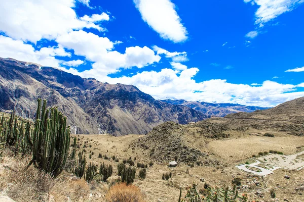 Andes güzel manzara — Stok fotoğraf