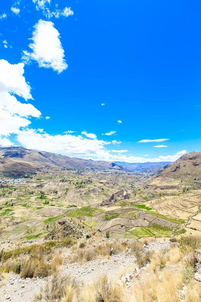 Hermoso paisaje en los Andes — Foto de Stock