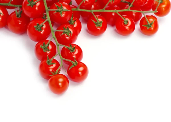 Ripe tomatoes with green leaves — Stock Photo, Image