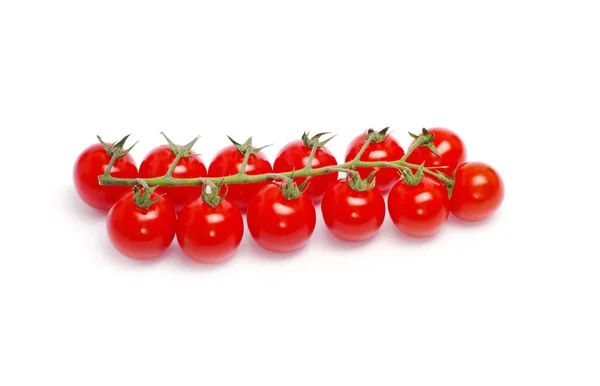 Reife Tomaten mit grünen Blättern — Stockfoto