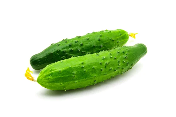 Fresh green cucumbers — Stock Photo, Image