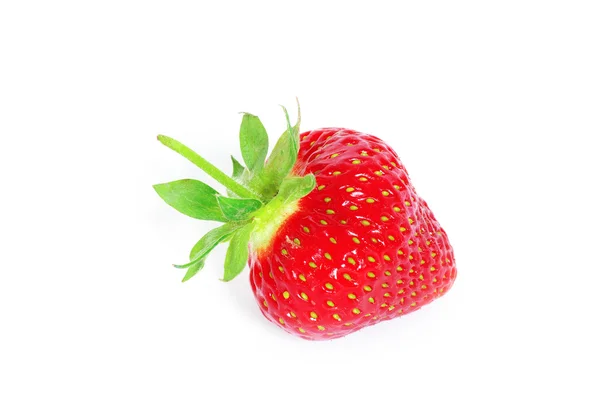Rote reife Erdbeere — Stockfoto