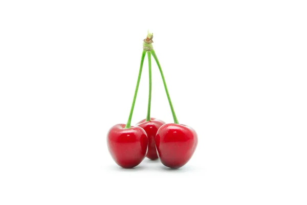 Ripe Sweet cherries — Stock Photo, Image