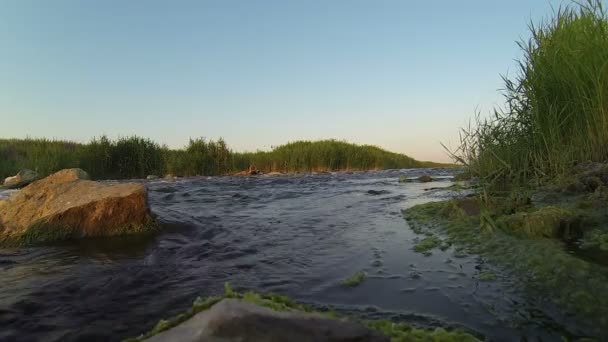 Rauschender Fluss — Stockvideo