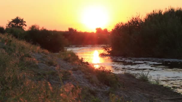 Zonsondergang over de rivier — Stockvideo