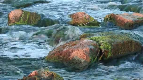 Rushing river — Stock Video
