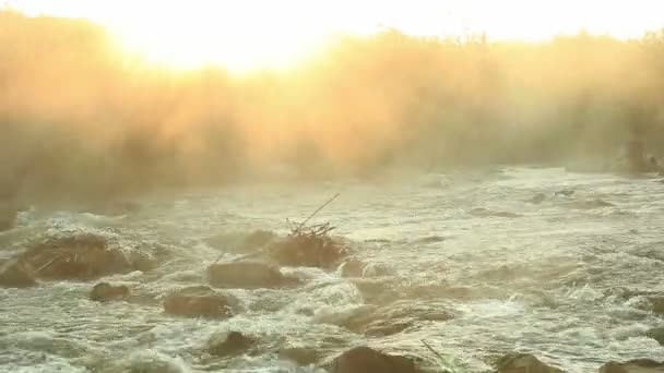 Şafak Rushing Nehri üzerinde — Stok video