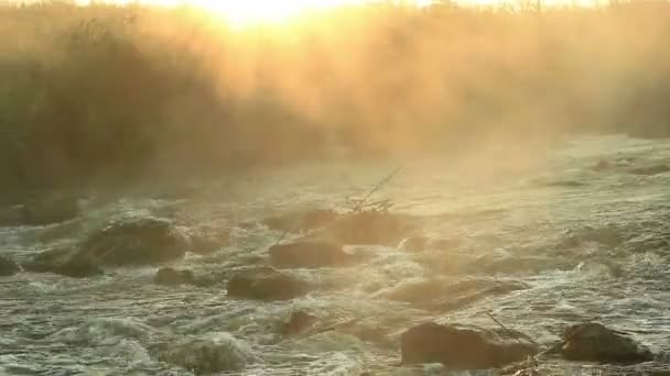 Dawn over Rushing river — Stock Video