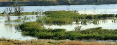 Sonbahar Nehri Panoraması