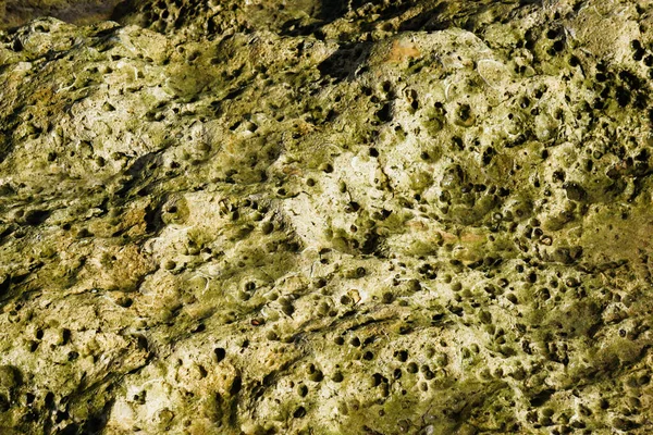 Teksturowana Kamienna Powierzchnia Piaskowca Zbliżenie Obrazu — Zdjęcie stockowe
