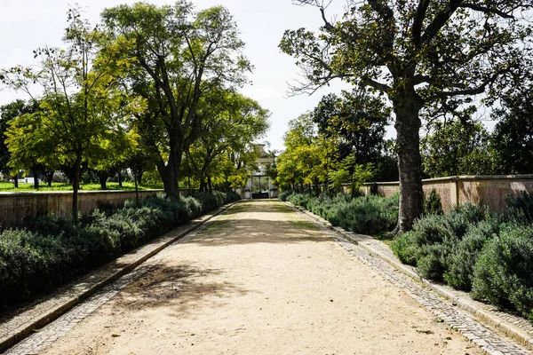 Fuente Del Palacio Estoi Obra Arquitectura Romántica Única Región Del — Foto de Stock