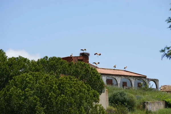 Charmoso Monchique Nas Montanhas Algarve Portugal — Fotografia de Stock