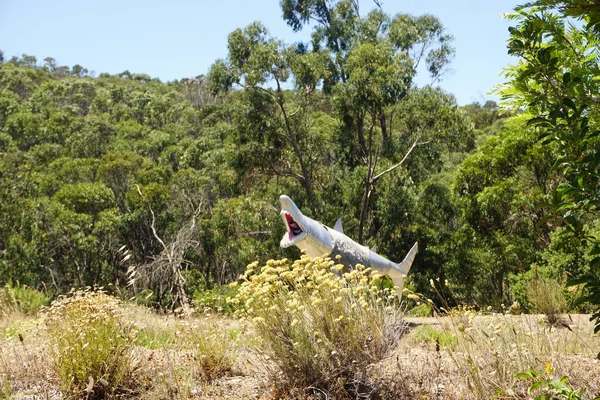 Passeio Das Figuras Portugal Dolls Forest — Stock Photo, Image