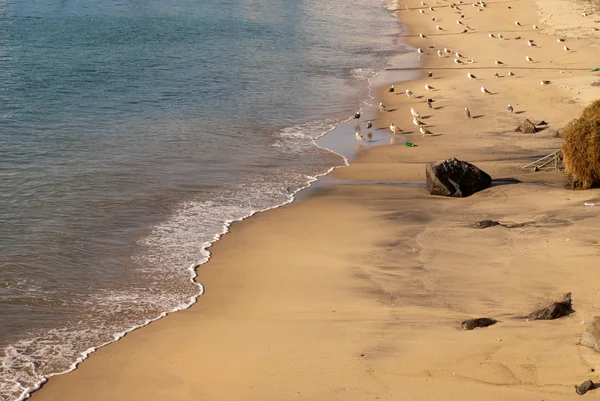 Vista di Sines, Portogallo — Foto Stock