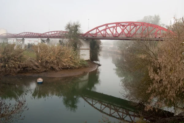 De ochtend in mist op de rivier — Stockfoto