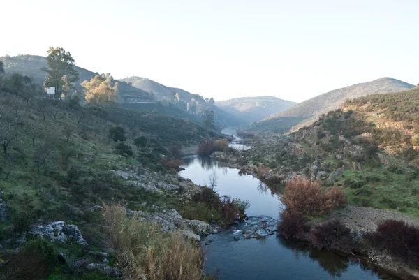 Landschaft mit Fluss — Stockfoto