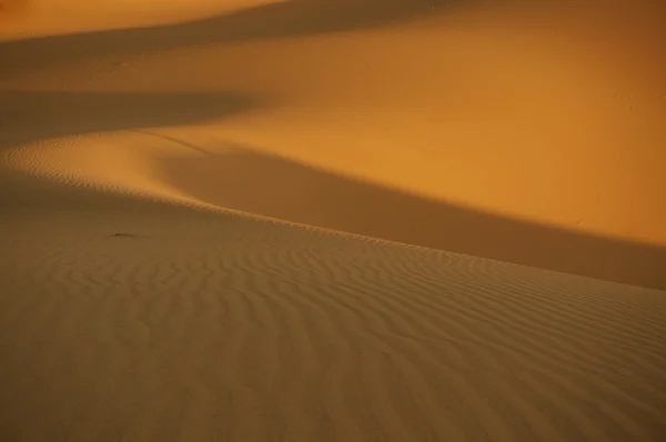 Zonsondergang in sahara woestijn Rechtenvrije Stockafbeeldingen