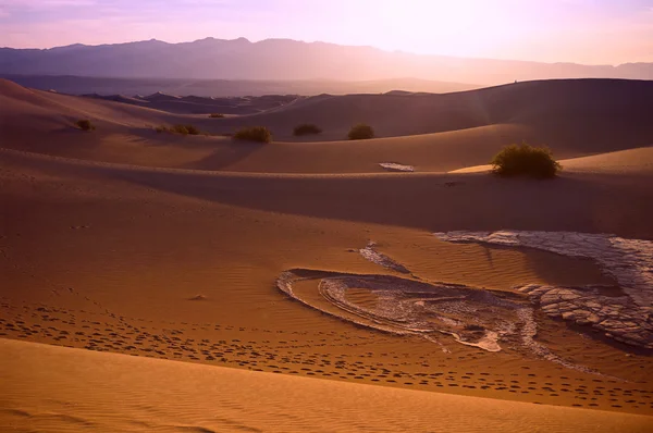 SUNDOWN nad pustynnego krajobrazu. Wydmy — Zdjęcie stockowe