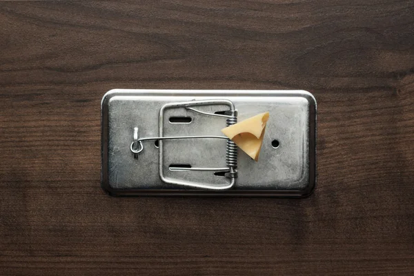 Morceau de fromage dans mousetrap — Photo