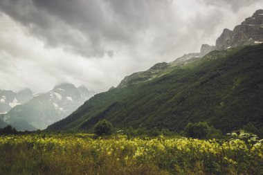 yeşil çim ve fırtınalı gökyüzü ile Dağları