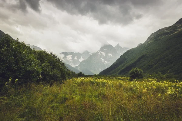 Montagne con erba verde e cielo tempestoso — Foto Stock