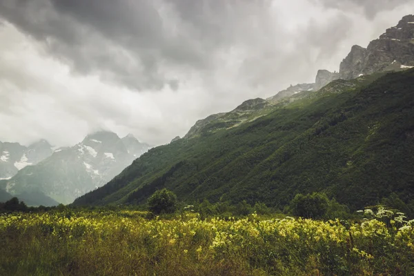 山里，有绿草和暴风雨天空 — 图库照片