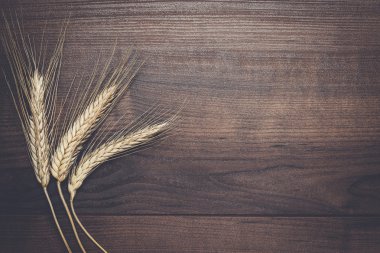 kulaklar kahverengi ahşap zemin üzerinde çavdar