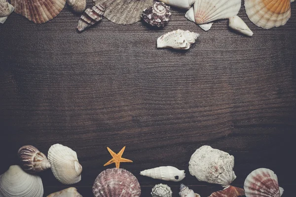 Kahverengi ahşap zemin üzerinde farklı deniz kabuklarını — Stok fotoğraf