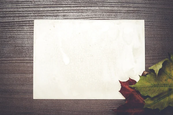 Etwas Herbstblätter und alte Fotohintergründe überdecken — Stockfoto