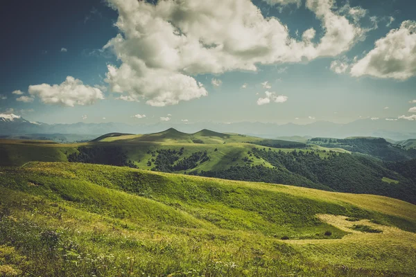 Letní hory krajina zelené trávy a modrá obloha — Stock fotografie