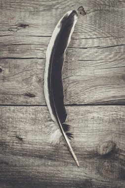 ahşap masa arka plan üzerinde siyah beyaz tüy