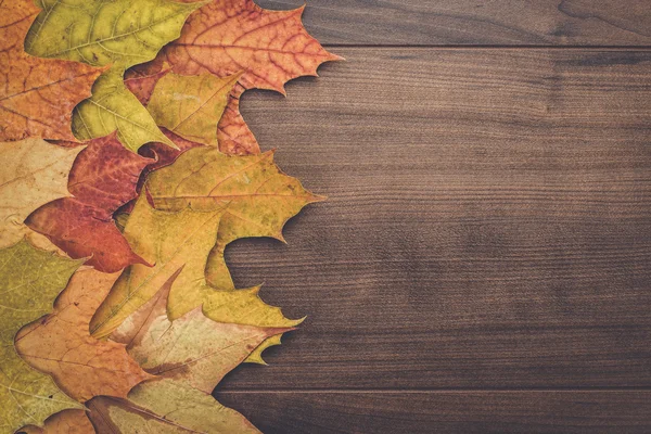 Kleurrijke herfst bladeren achtergrond — Stockfoto