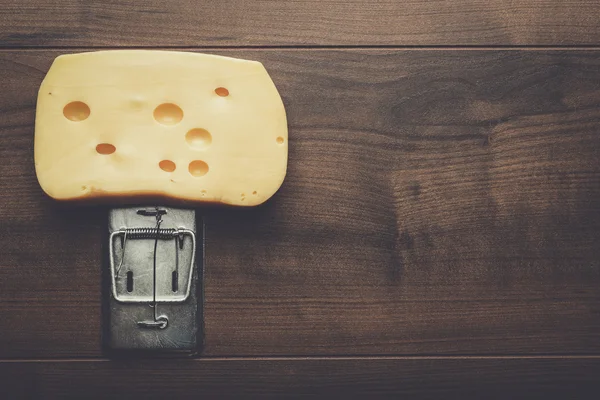 Duży kawałek sera w Pułapka na myszy — Zdjęcie stockowe