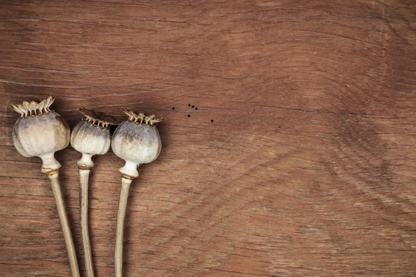 Poppyheads full of poppyseeds on the table — Stock Photo, Image