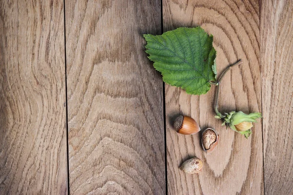 木桌上的榛子 — 图库照片