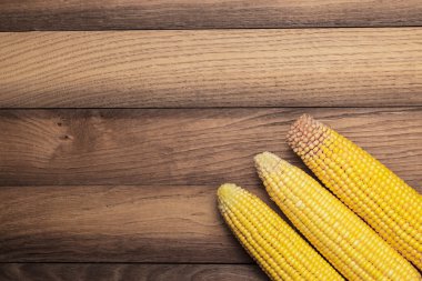 mısır koçanı tablo