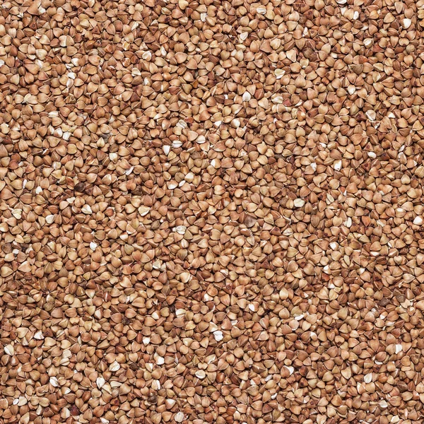 Buckwheat background — Stock Photo, Image