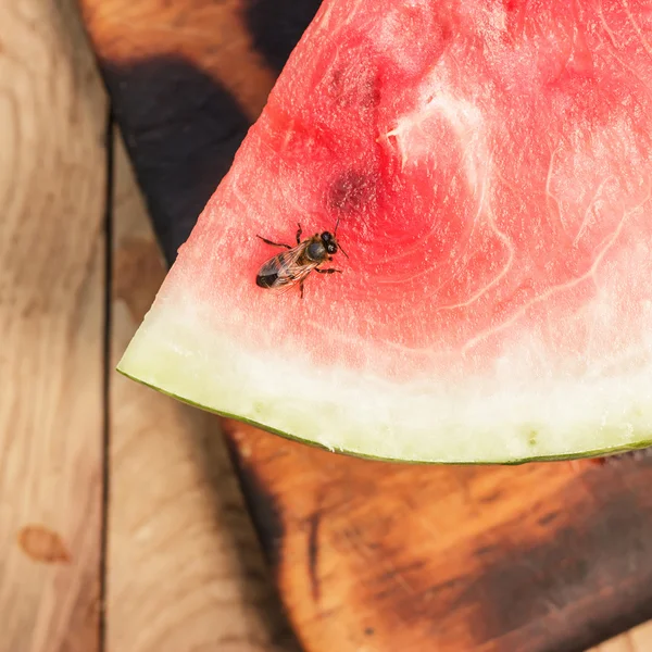 Semangka di atas meja — Stok Foto