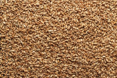 Tahta zemin üzerinde buğday