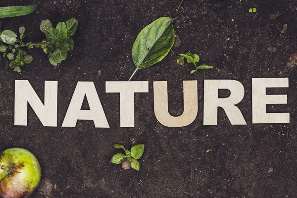 Mot nature composé de lettres en bois — Photo