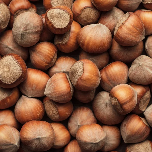 Hazelnut di meja kayu cokelat — Stok Foto