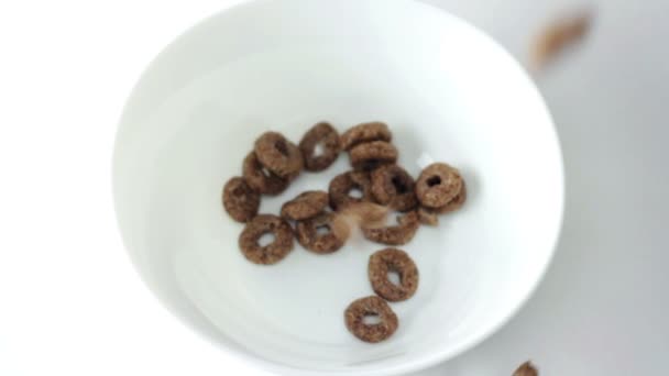 Chocolate corn rings falling into white bowl — Stock Video